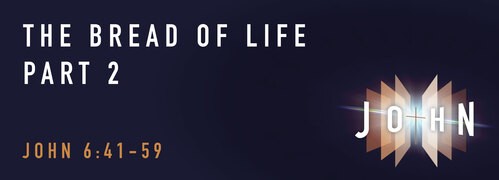 John 6:41-59