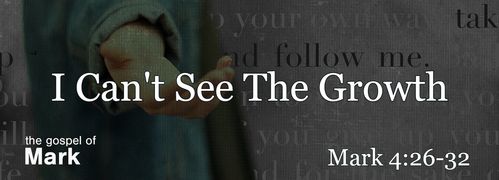 Mark 4:26-32