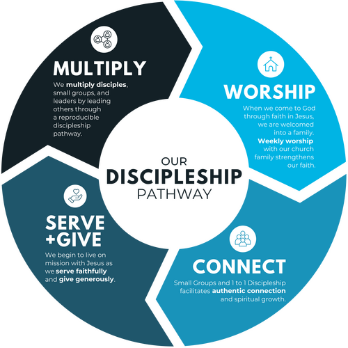 Trinity Bible Church Discipleship Pathway Graphic