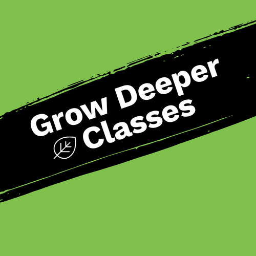 Three adults talking at a church fellowship for life groups