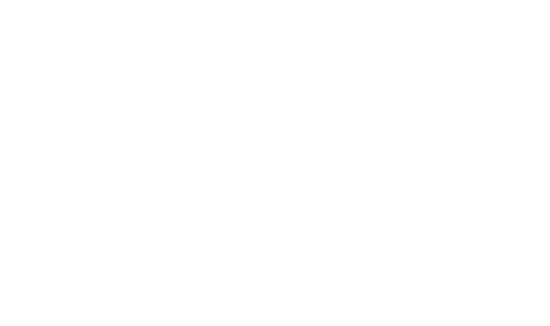 Night To Shine Tim Tebow Foundation