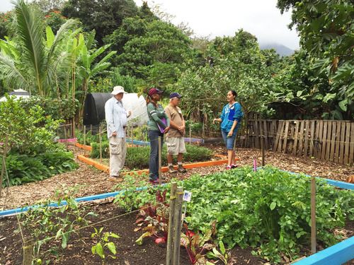 men and women touring a garden