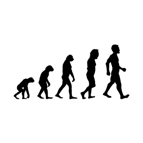 icon of the evolution of man