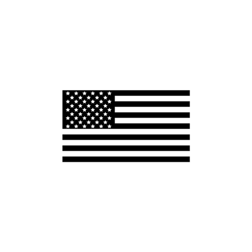 US flag icon