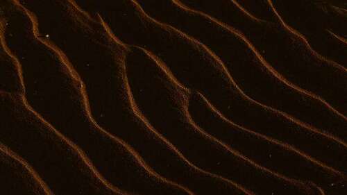 young adults bible study