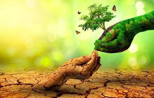 tree in two hands with very different environments Earth Day or World Environment Day Global Warming and Pollution