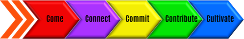 Our Discipleship Pathway is Come Connect Commit Contribute Cultivate