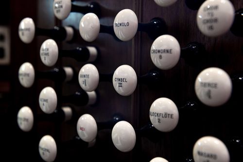 An image of multiple organ stoppers and tabs - long black pieces of wood with a round, white button at the tip.