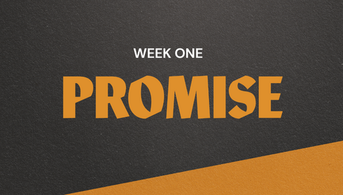 Word Study: Promise