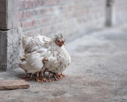 Photo by Paul Frederiksen on Unsplash