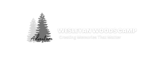 wesleyan woods campground vassar mi