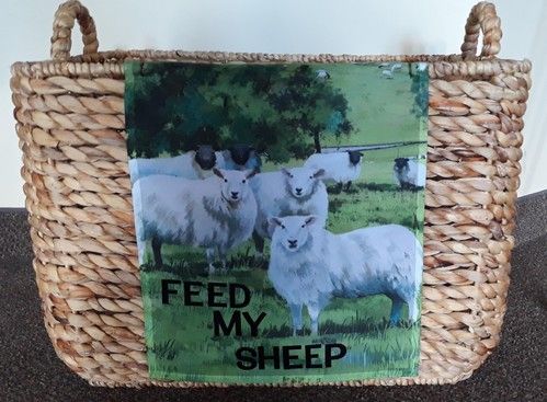 Feed My Sheep photo