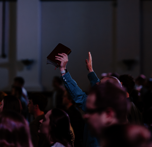 two young men laughing at a dinner table
