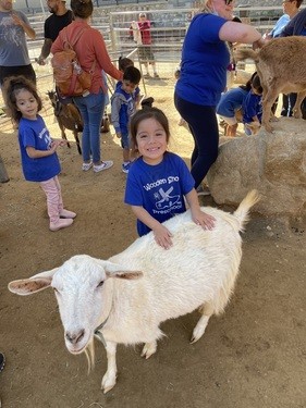 Experiential Learning