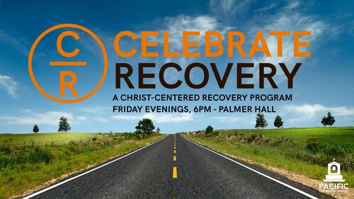 Men 12 Step Life Group