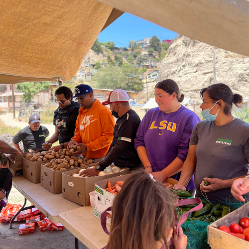volunteers distributing vegetables to people