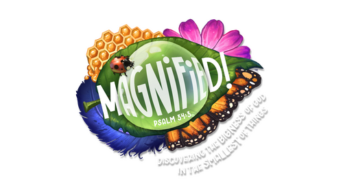 Magnified VBS Logo