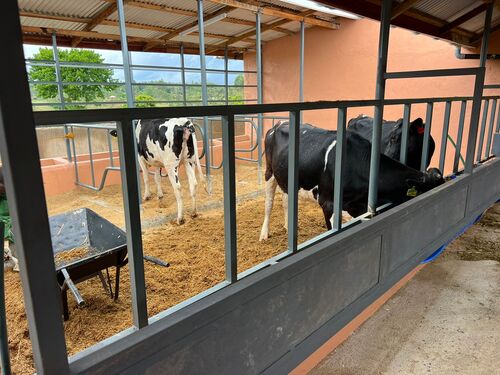 Macklann Basse and his wife Rose