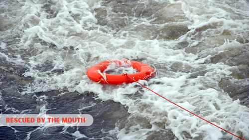 Proverbs 12:6 Baptist Church Lancaster, NY