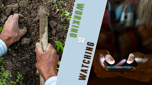 Proverbs 12:11 Baptist Church Buffalo NY