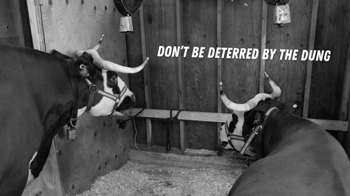 Proverbs 14:4 Church Buffalo NY Bible