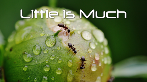 Buffalo NY Christian Church