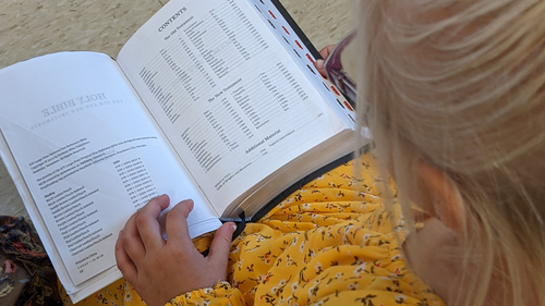 Children's Ministry Bible