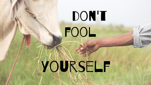 Baptist Church East Aurora NY