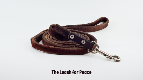 Proverbs 11:12 Buffalo Baptist Church NY