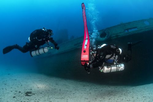 dan-copyright-trademarks