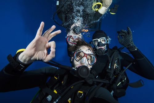 Temporary-dive-cover